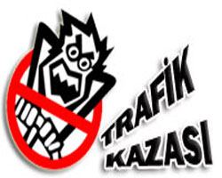 Tosya Mismilagac