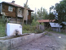 Tosya Mismilagac