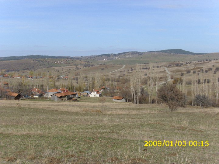 Tosya Mismilagac