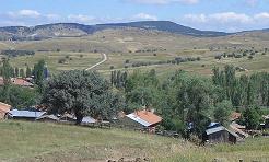 Tosya Mismilagac