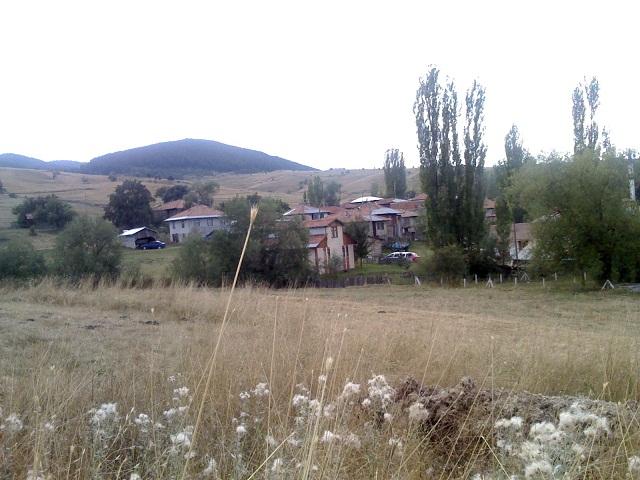 Tosya Mismilagac
