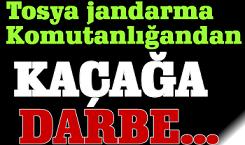 Tosya Mismilagac
