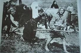 Tosya Mismilagac