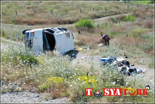 Tosya Mismilagac