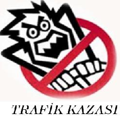 Tosya Mismilagac