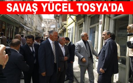 Tosya Mismilagac