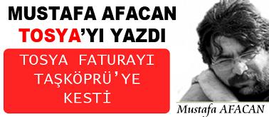 Tosya Mismilagac
