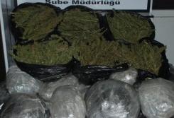 Tosya Mismilagac