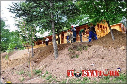 Tosya Mismilagac