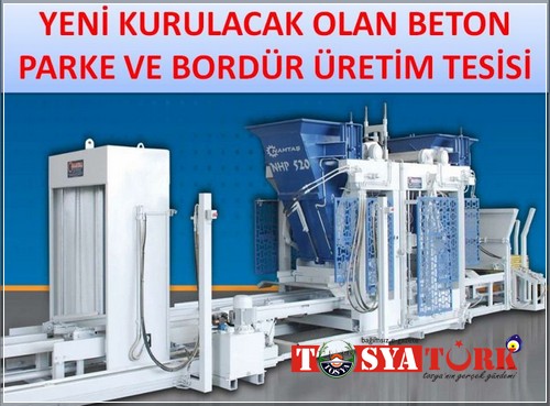 Tosya Mismilagac