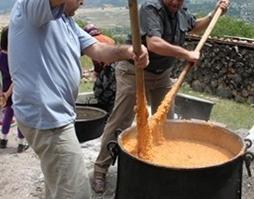 Tosya Mismilagac