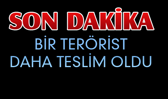 Tosya Mismilagac