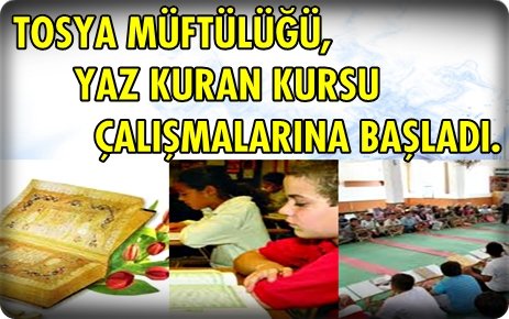 Tosya Mismilagac