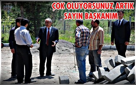 Tosya Mismilagac