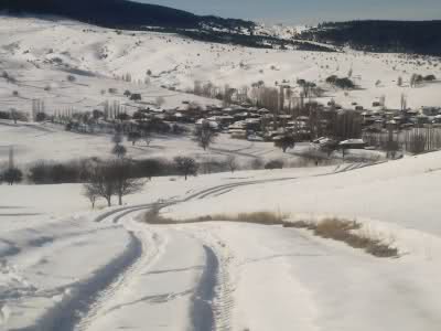 Tosya Mismilagac